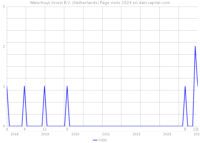 Waterhuys Invest B.V. (Netherlands) Page visits 2024 