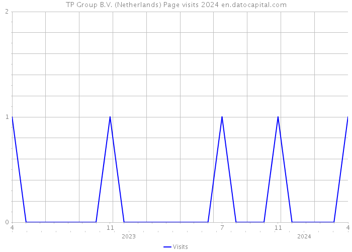 TP Group B.V. (Netherlands) Page visits 2024 