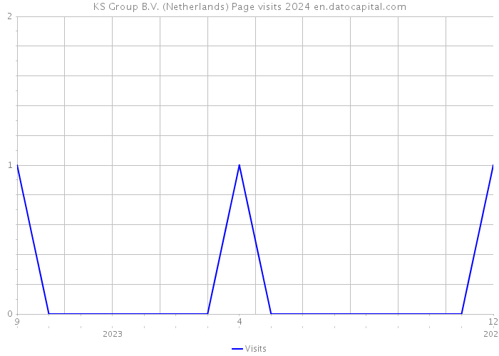 KS Group B.V. (Netherlands) Page visits 2024 