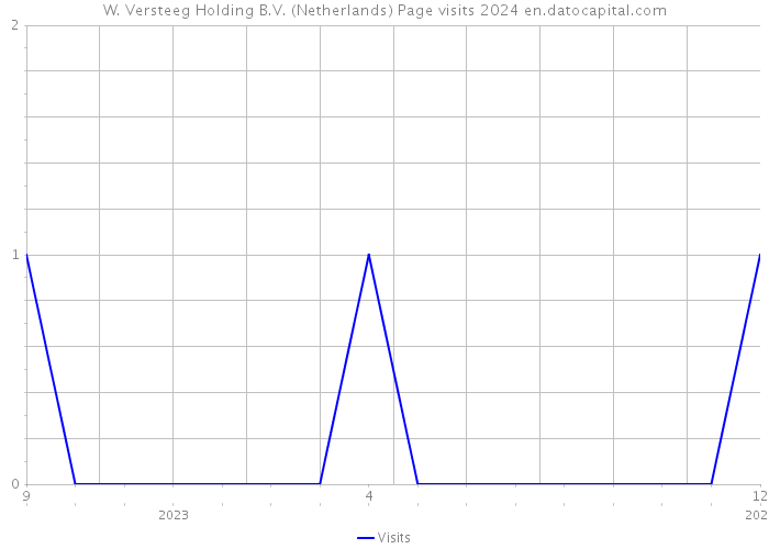 W. Versteeg Holding B.V. (Netherlands) Page visits 2024 