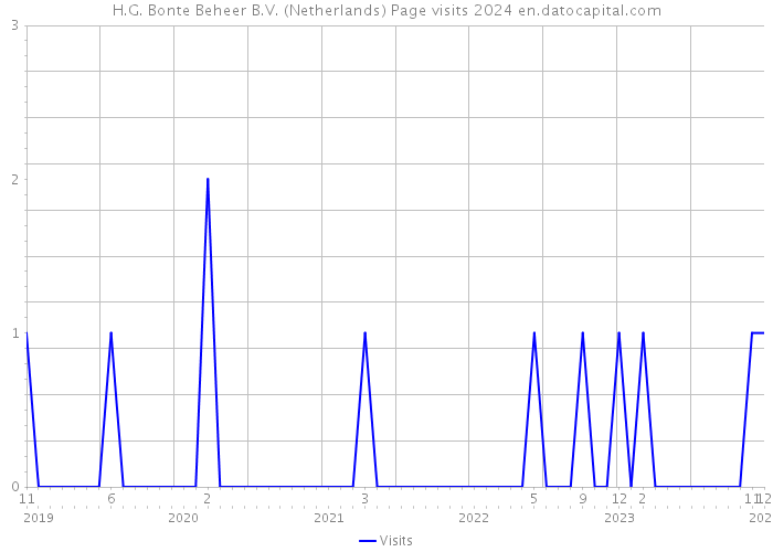 H.G. Bonte Beheer B.V. (Netherlands) Page visits 2024 