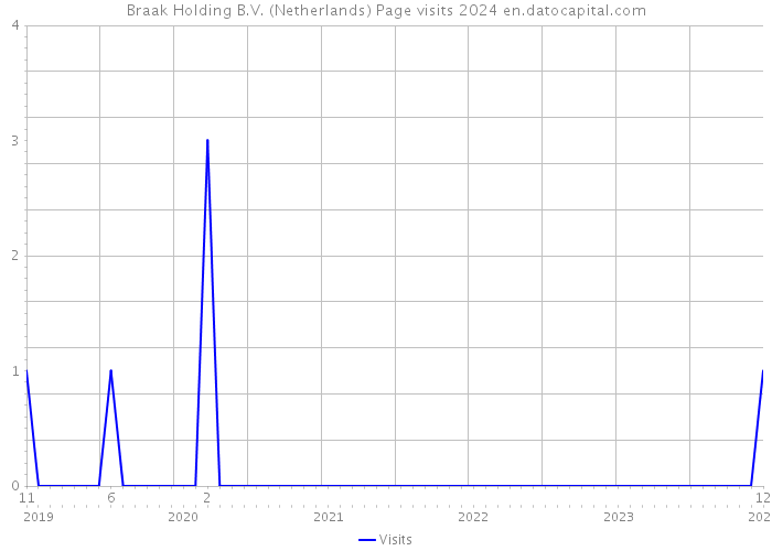 Braak Holding B.V. (Netherlands) Page visits 2024 
