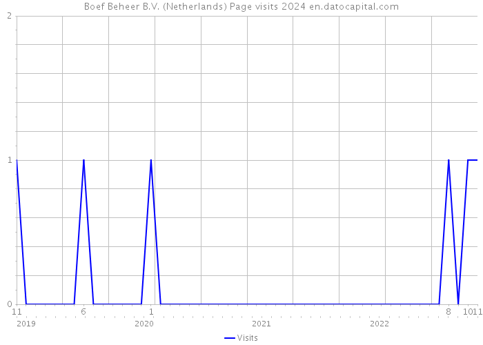 Boef Beheer B.V. (Netherlands) Page visits 2024 