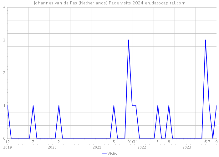 Johannes van de Pas (Netherlands) Page visits 2024 