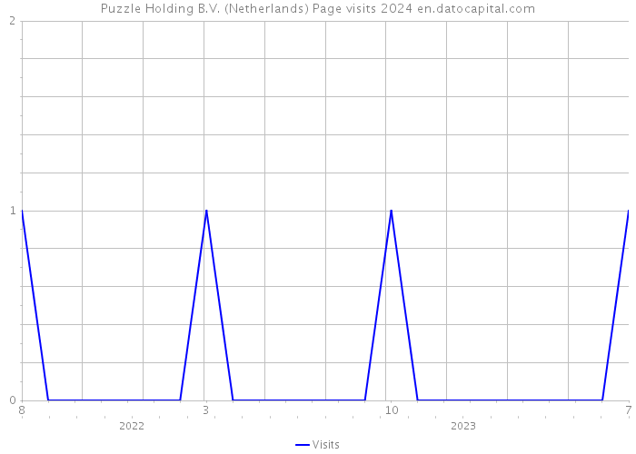 Puzzle Holding B.V. (Netherlands) Page visits 2024 