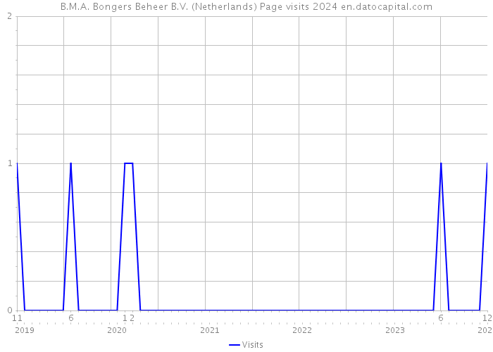 B.M.A. Bongers Beheer B.V. (Netherlands) Page visits 2024 