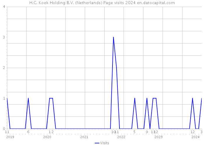 H.C. Koek Holding B.V. (Netherlands) Page visits 2024 