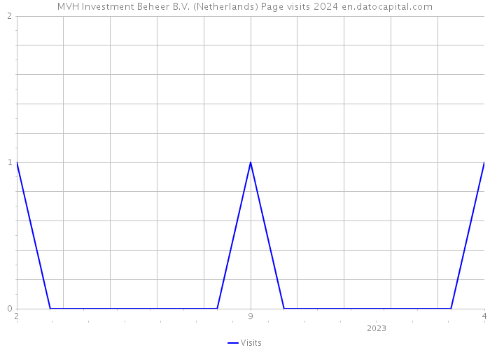 MVH Investment Beheer B.V. (Netherlands) Page visits 2024 