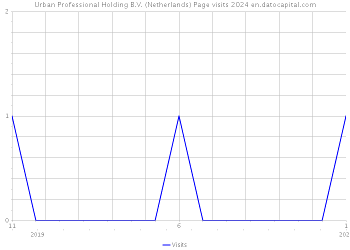 Urban Professional Holding B.V. (Netherlands) Page visits 2024 