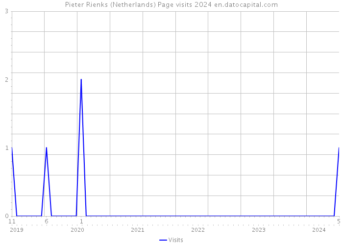 Pieter Rienks (Netherlands) Page visits 2024 