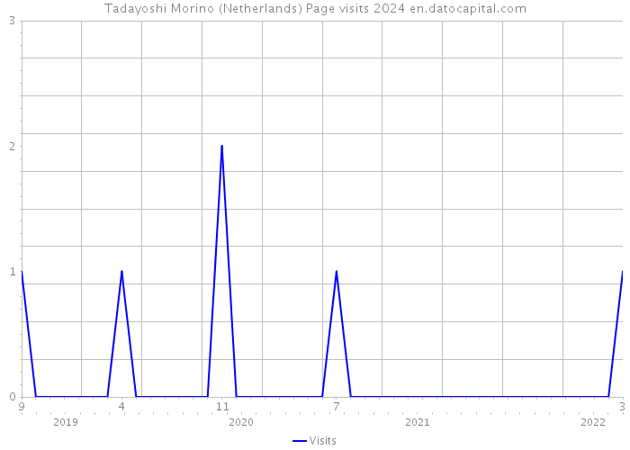 Tadayoshi Morino (Netherlands) Page visits 2024 