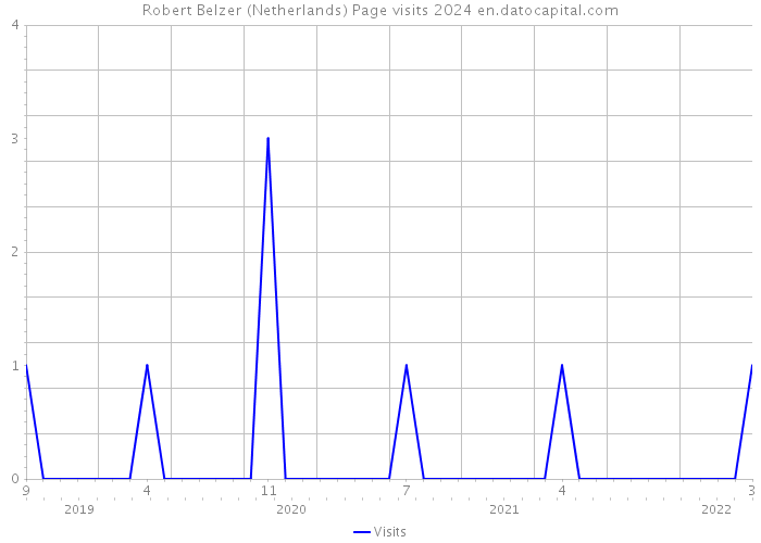 Robert Belzer (Netherlands) Page visits 2024 