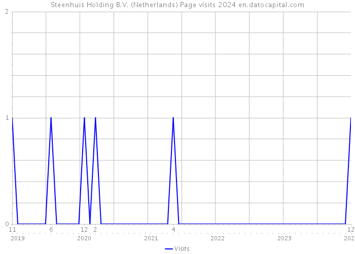 Steenhuis Holding B.V. (Netherlands) Page visits 2024 