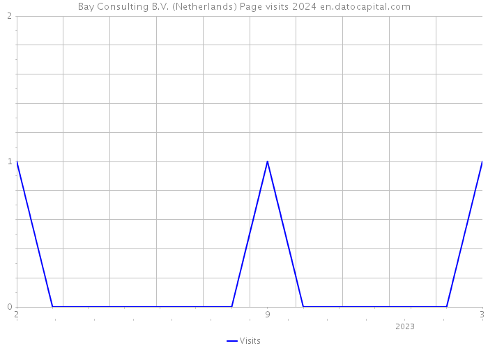 Bay Consulting B.V. (Netherlands) Page visits 2024 