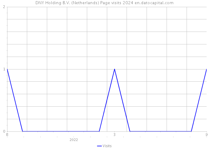 DNY Holding B.V. (Netherlands) Page visits 2024 