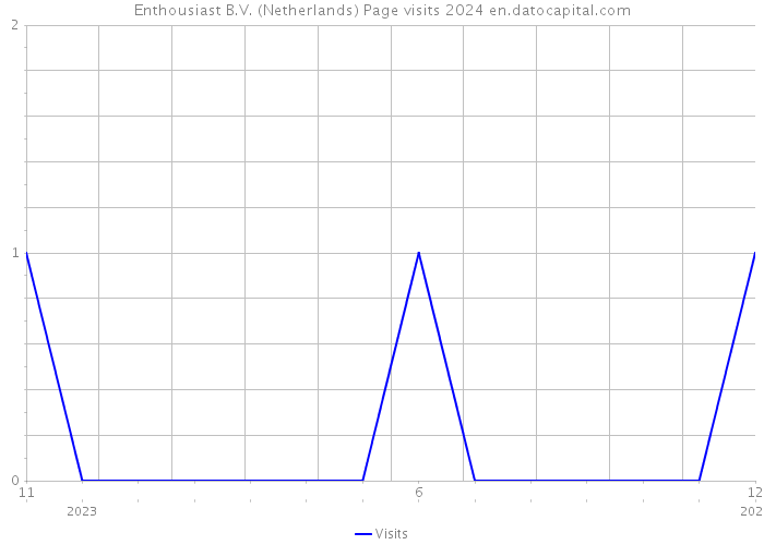 Enthousiast B.V. (Netherlands) Page visits 2024 