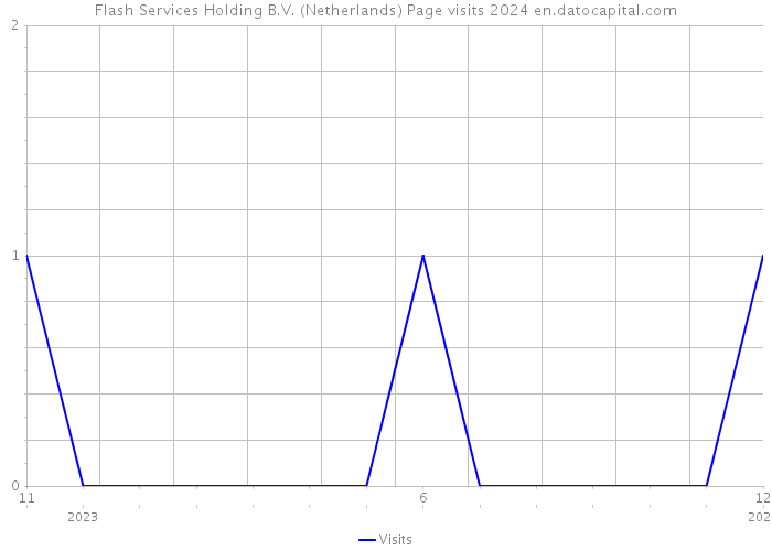 Flash Services Holding B.V. (Netherlands) Page visits 2024 