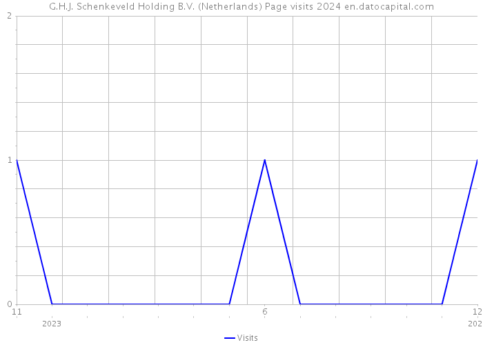 G.H.J. Schenkeveld Holding B.V. (Netherlands) Page visits 2024 