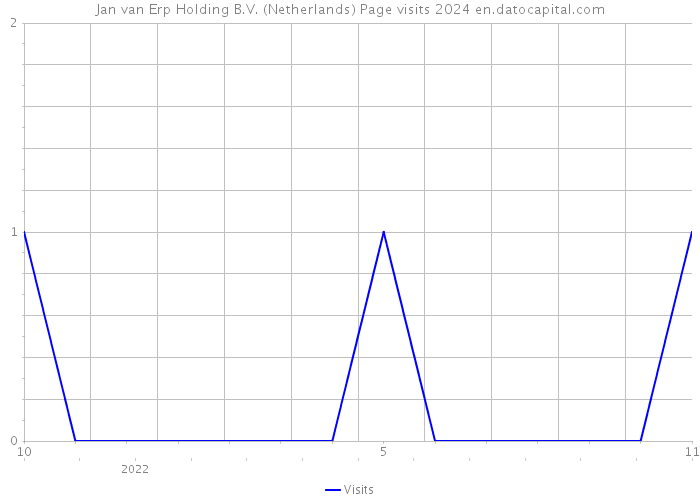 Jan van Erp Holding B.V. (Netherlands) Page visits 2024 