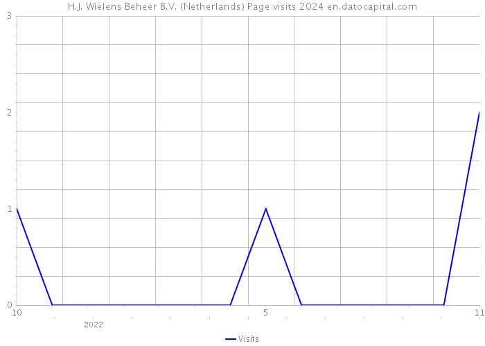 H.J. Wielens Beheer B.V. (Netherlands) Page visits 2024 