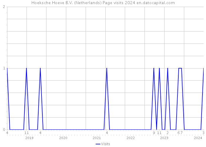 Hoeksche Hoeve B.V. (Netherlands) Page visits 2024 