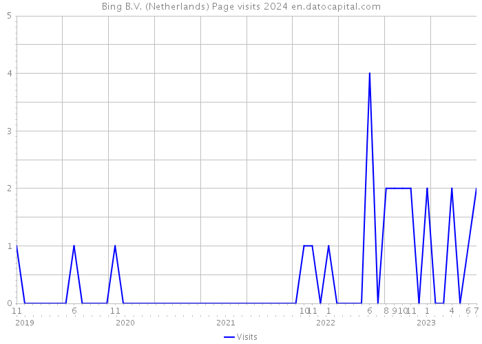 Bing B.V. (Netherlands) Page visits 2024 