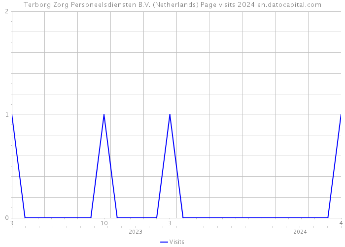 Terborg Zorg Personeelsdiensten B.V. (Netherlands) Page visits 2024 