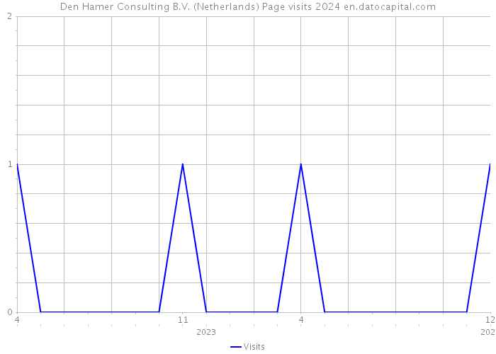 Den Hamer Consulting B.V. (Netherlands) Page visits 2024 