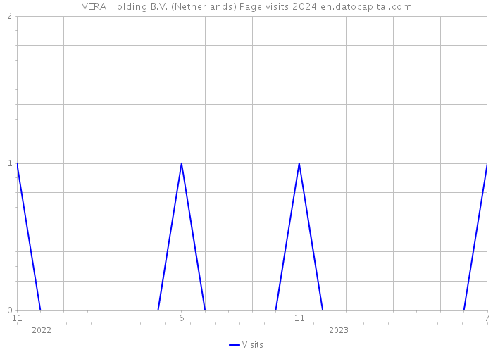 VERA Holding B.V. (Netherlands) Page visits 2024 