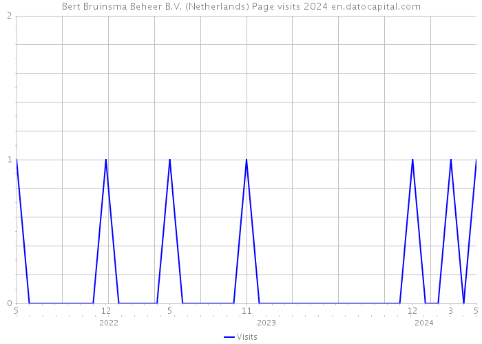 Bert Bruinsma Beheer B.V. (Netherlands) Page visits 2024 