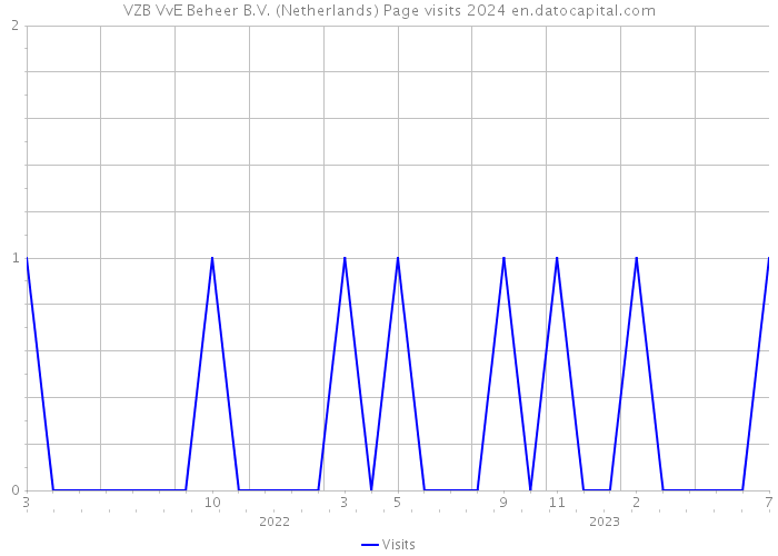 VZB VvE Beheer B.V. (Netherlands) Page visits 2024 