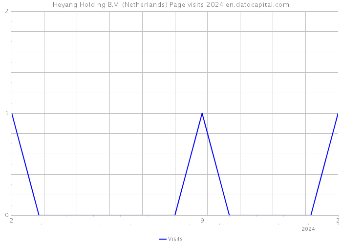 Heyang Holding B.V. (Netherlands) Page visits 2024 