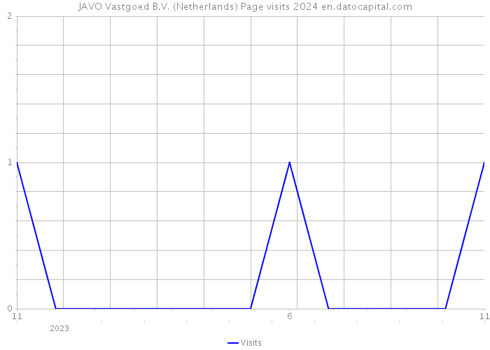 JAVO Vastgoed B.V. (Netherlands) Page visits 2024 