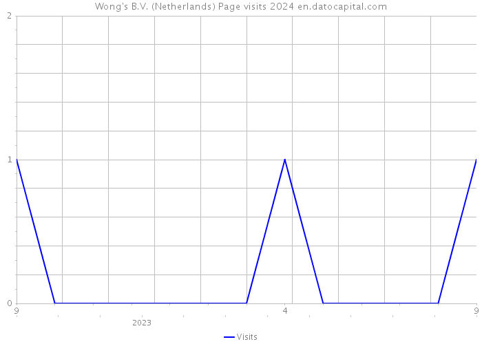 Wong's B.V. (Netherlands) Page visits 2024 