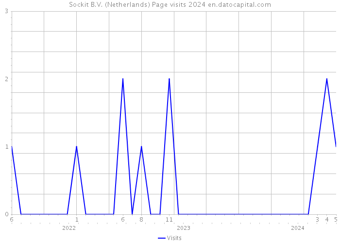 Sockit B.V. (Netherlands) Page visits 2024 