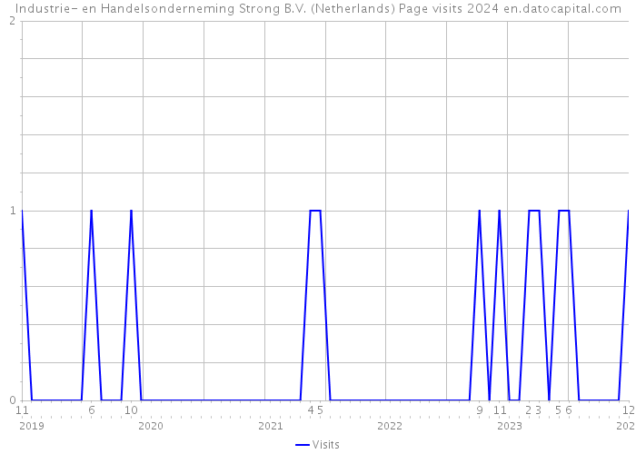 Industrie- en Handelsonderneming Strong B.V. (Netherlands) Page visits 2024 