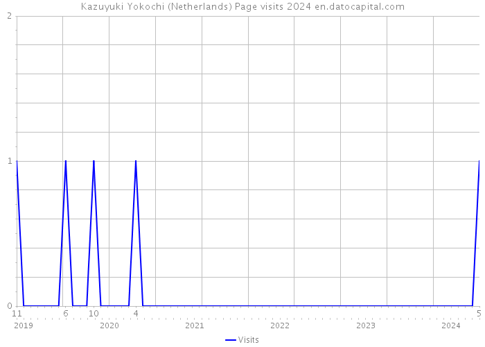 Kazuyuki Yokochi (Netherlands) Page visits 2024 
