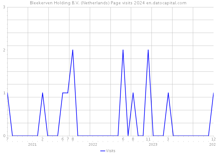 Bleekerven Holding B.V. (Netherlands) Page visits 2024 
