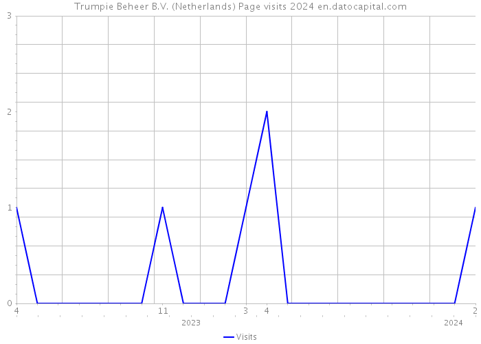Trumpie Beheer B.V. (Netherlands) Page visits 2024 