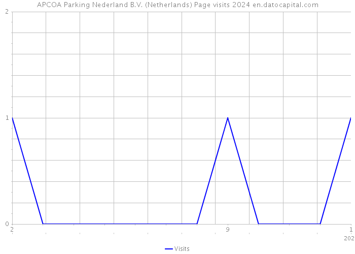 APCOA Parking Nederland B.V. (Netherlands) Page visits 2024 