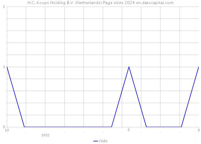 H.C. Koops Holding B.V. (Netherlands) Page visits 2024 