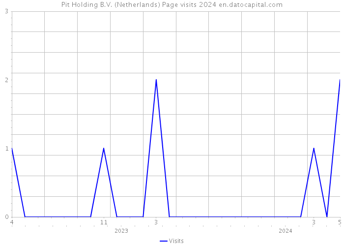 Pit Holding B.V. (Netherlands) Page visits 2024 