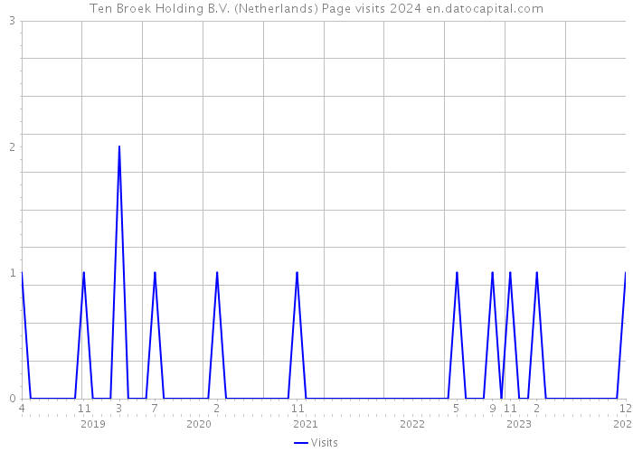 Ten Broek Holding B.V. (Netherlands) Page visits 2024 