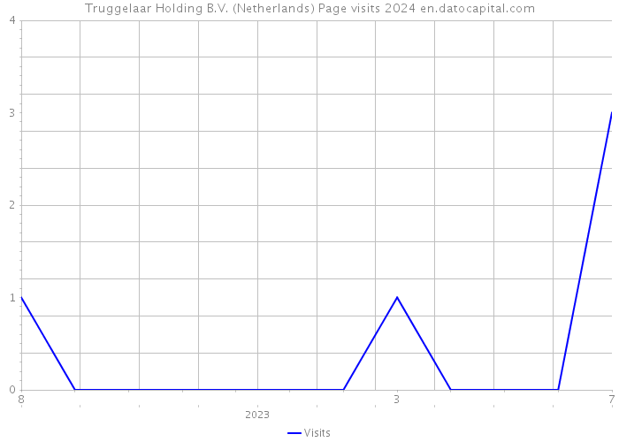 Truggelaar Holding B.V. (Netherlands) Page visits 2024 