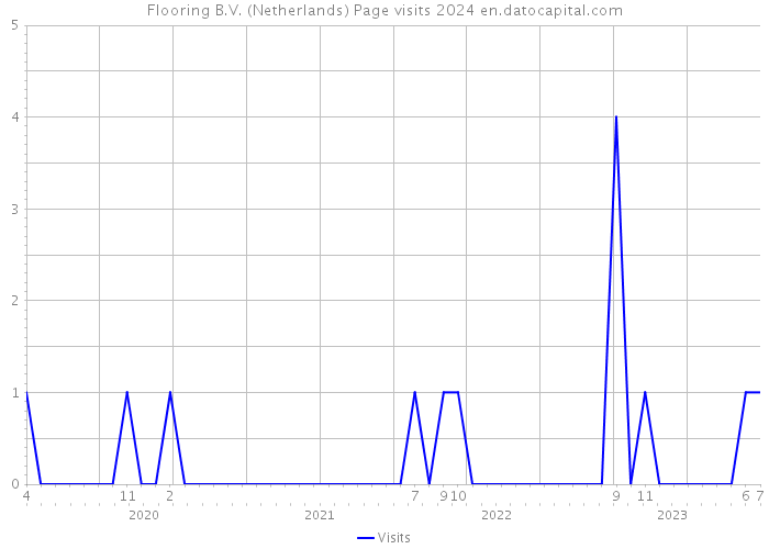 Flooring B.V. (Netherlands) Page visits 2024 