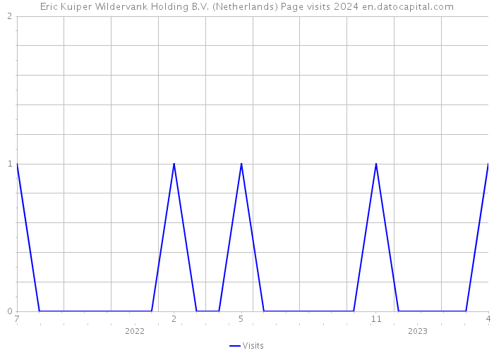 Eric Kuiper Wildervank Holding B.V. (Netherlands) Page visits 2024 