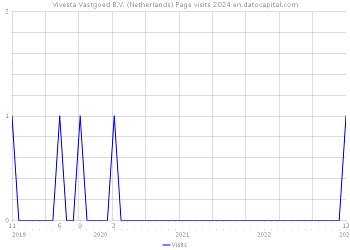 Vivesta Vastgoed B.V. (Netherlands) Page visits 2024 