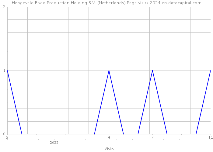 Hengeveld Food Production Holding B.V. (Netherlands) Page visits 2024 
