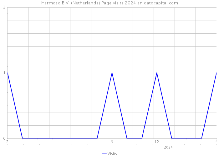 Hermoso B.V. (Netherlands) Page visits 2024 