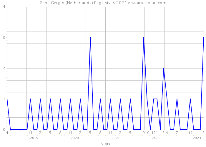 Sami Gergin (Netherlands) Page visits 2024 